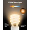 4-Pack CFL Light Bulbs, 13W, 2700K Warm Light, 900lm, Twist & Lock